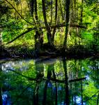 Annelise ROTH - Annelie R Photography